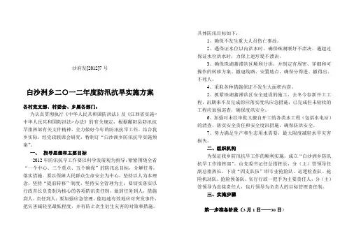 防汛实施方案