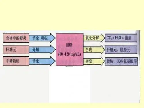 人教版教学课件通过激素的调节 课件7