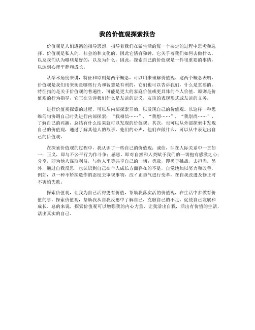 我的价值观探索报告