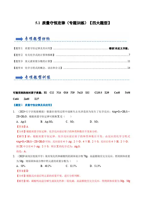 5.1质量守恒定律(专题训练)