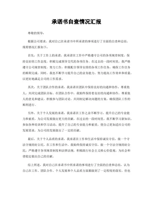 承诺书自查情况汇报