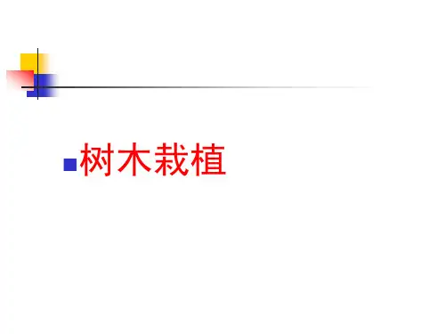 树木的栽植ppt课件