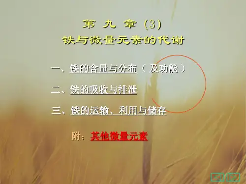 2018年高考总复习生物专题课件：第九章3铁代谢共计6张