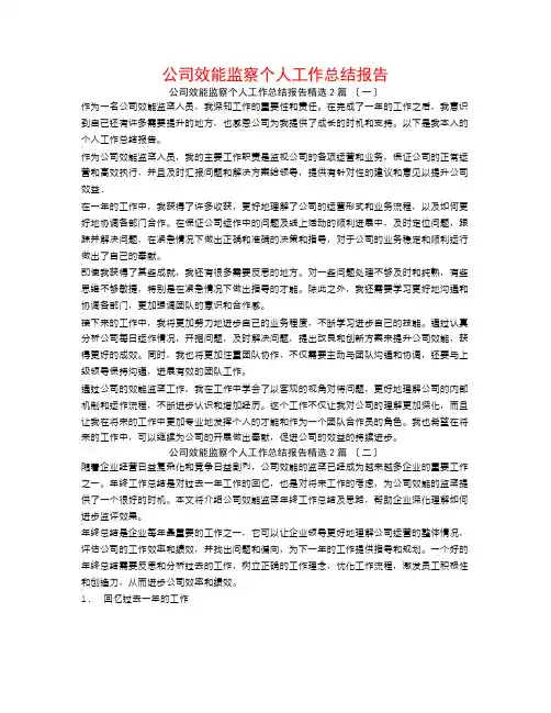 公司效能监察个人工作总结报告2篇