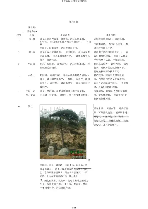 北方盐碱地绿化常用植物