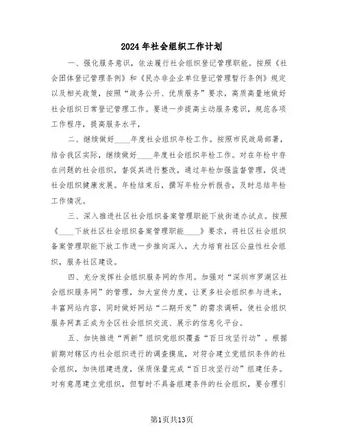 2024年社会组织工作计划（三篇）
