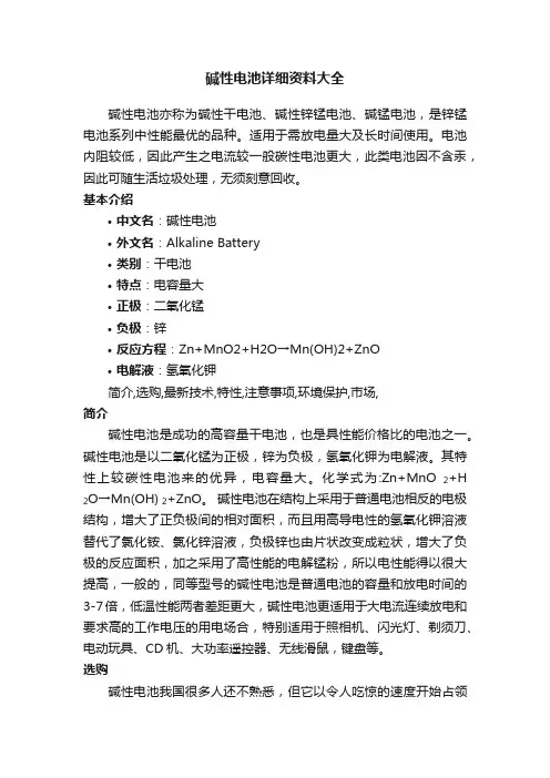 碱性电池详细资料大全