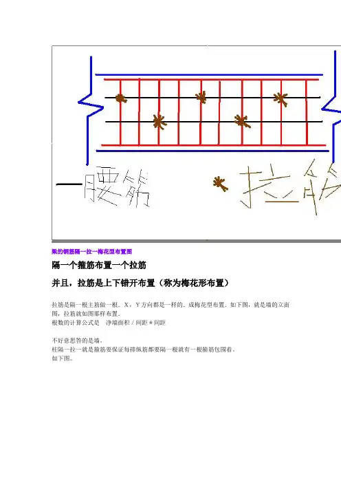 钢筋隔一拉一梅花型布置