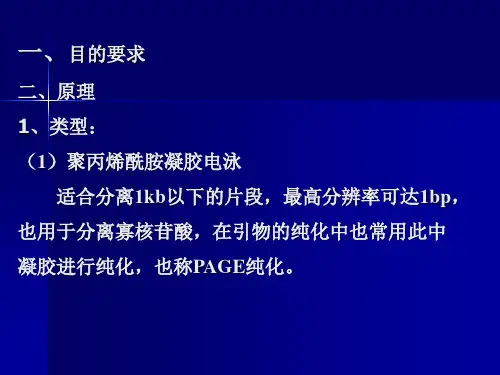 质粒DNA的琼脂糖凝胶电泳