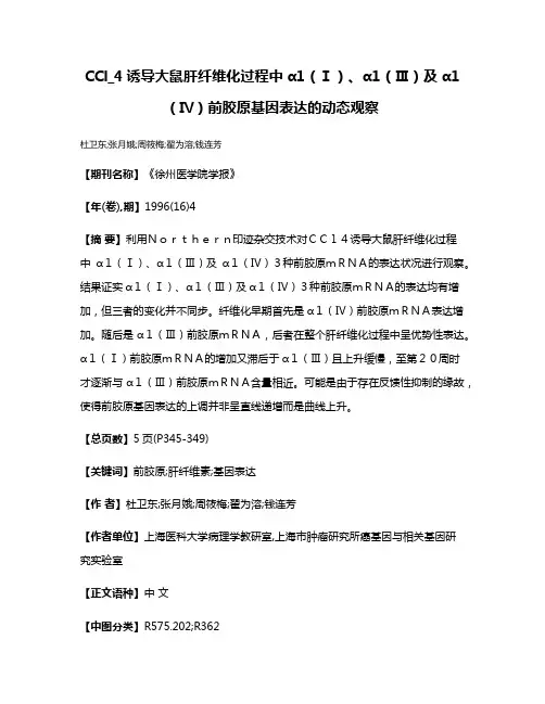CCl_4诱导大鼠肝纤维化过程中α1（Ⅰ）、α1（Ⅲ）及α1（Ⅳ）前胶原基因表达的动态观察