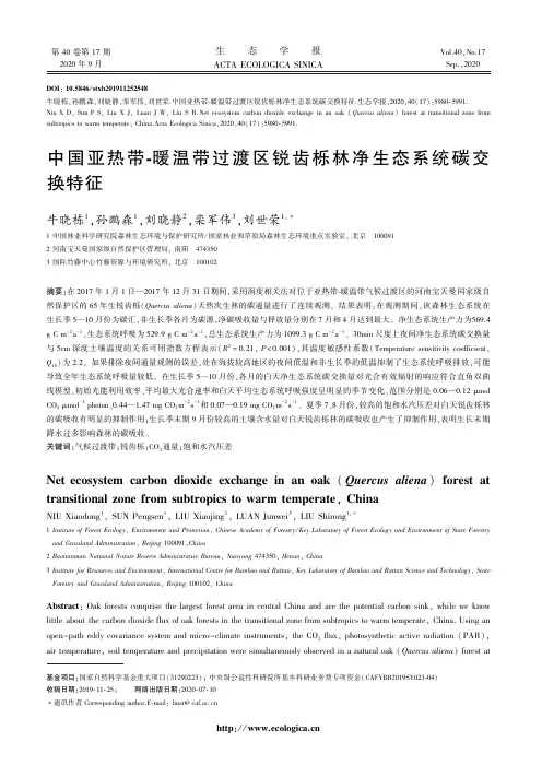 中国亚热带