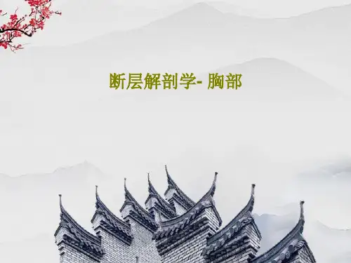 断层解剖学- 胸部共131页