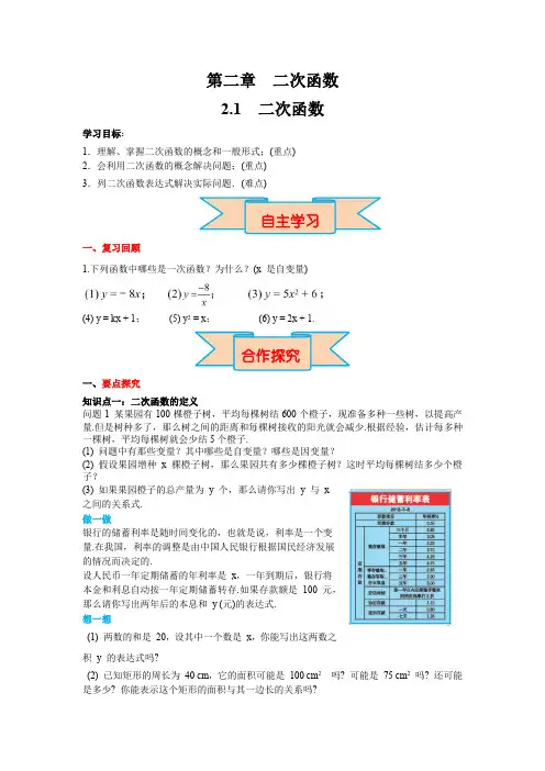 北师大版九年级数学下册2.1 二次函数 导学案(含答案)