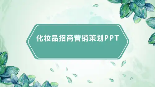 化妆品招商营销策划PPT