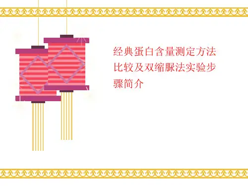 经典蛋白含量测定方法比较及双缩脲法实验步骤简介-课件