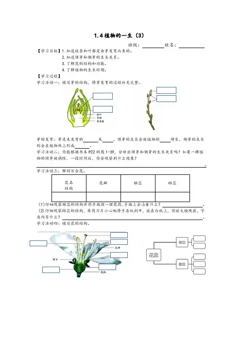 1.4.3_植物的一生