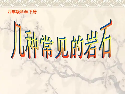 4.2复习认识几种常见的岩石
