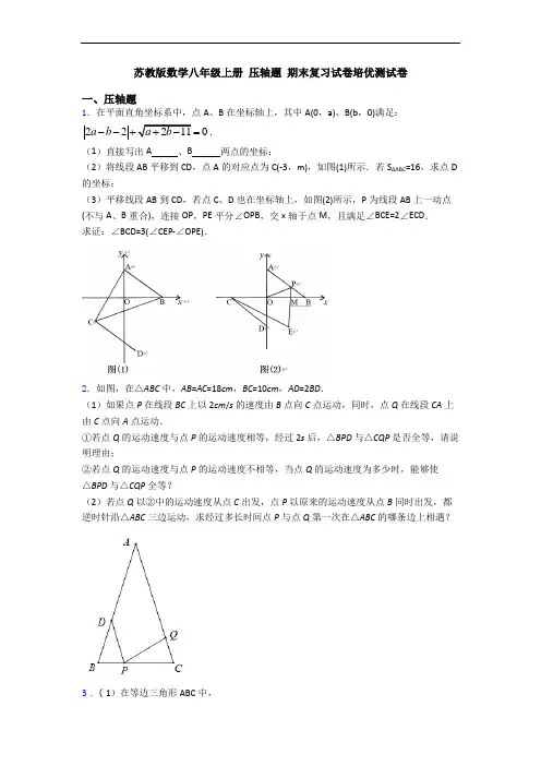 苏教版数学八年级上册 压轴题 期末复习试卷培优测试卷