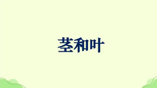 四年级下册科学教科版《茎和叶》课件