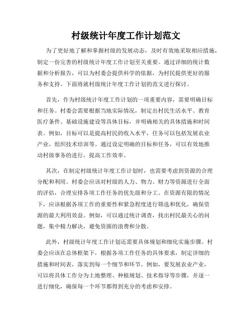 村级统计年度工作计划范文