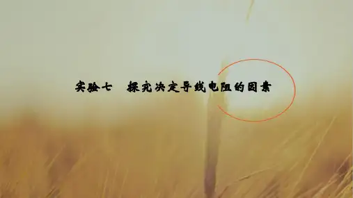 2019版高考物理创新大一轮基础课+能力课+实验课江苏专用版课件：第八章 恒定电流 实验七 精品