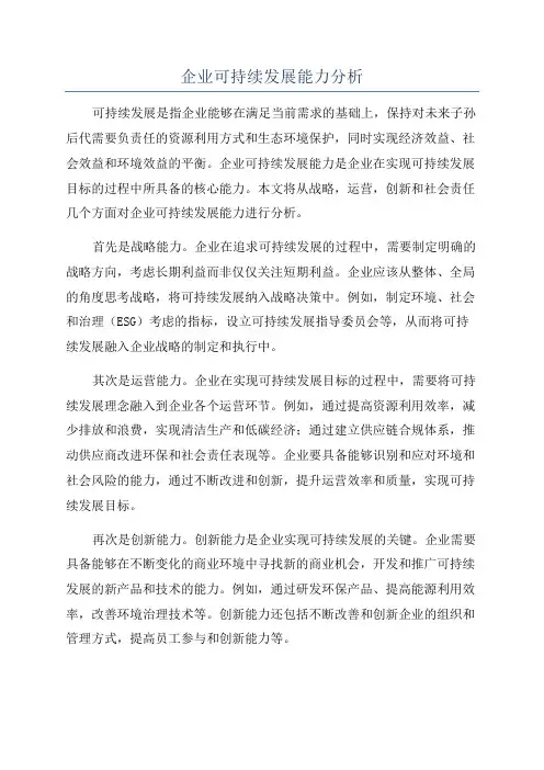 企业可持续发展能力分析