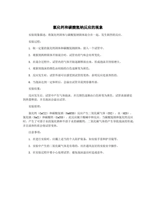 氯化钙和碳酸氢钠反应的现象