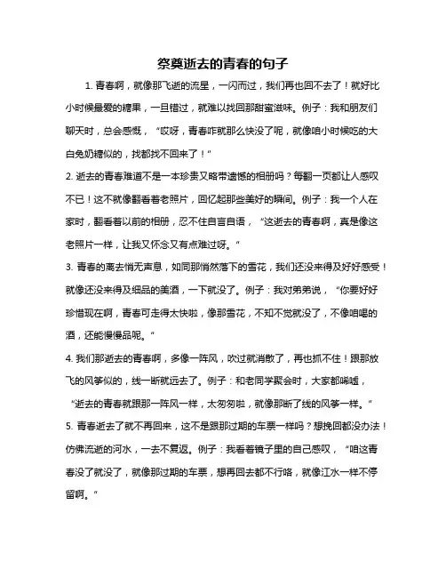 祭奠逝去的青春的句子