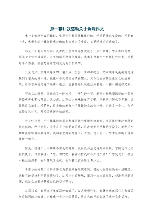 那一幕让我感动关于蜘蛛作文