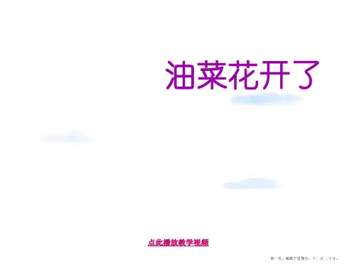 教科版科学四下《油菜花开了》PPT课件