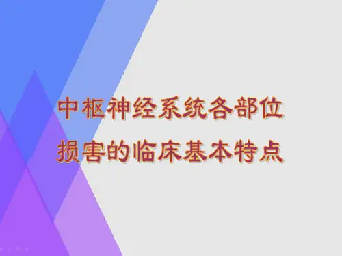 中枢神经系统各部位损害的临床基本特点
