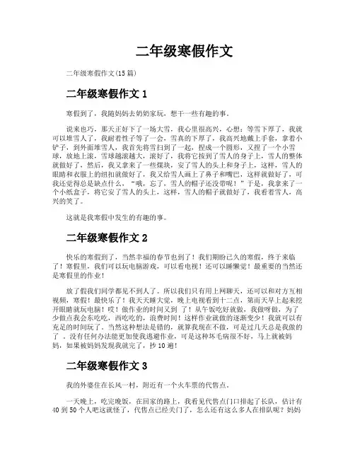 二年级寒假作文
