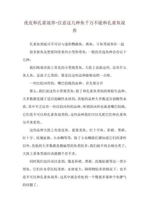 虎皮和孔雀混养-注意这几种鱼千万不能和孔雀鱼混养