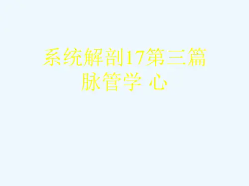系统解剖17第三篇  脉管学 心[可修改版ppt]