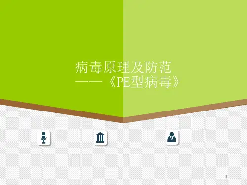 PE文件结构解析PPT教学课件