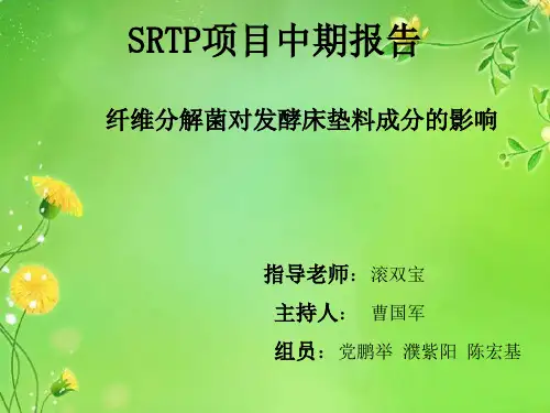 SRTP项目中期报告完整版共18页