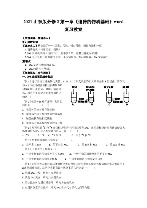 2021山东版必修2第一章《遗传的物质基础》word复习教案
