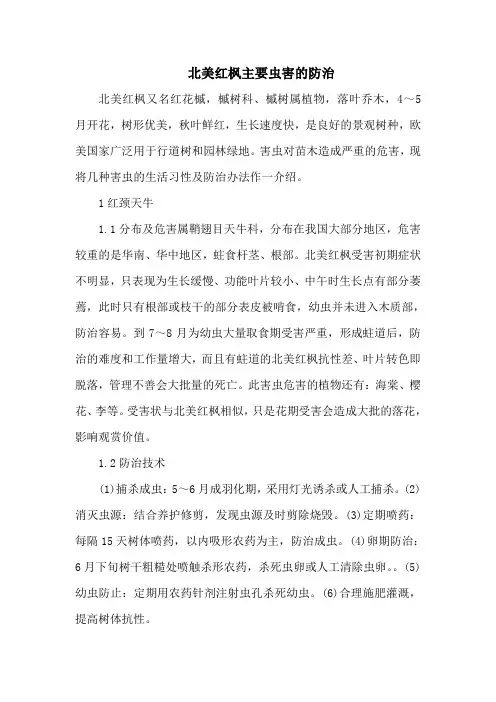 北美红枫主要虫害的防治