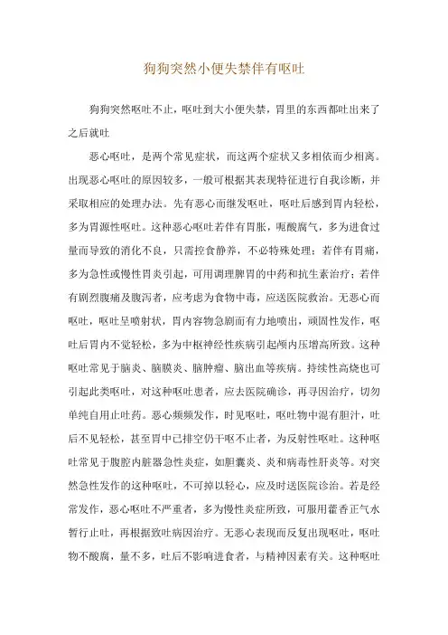 狗狗突然小便失禁伴有呕吐