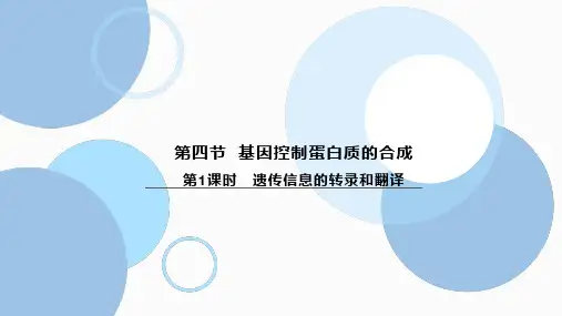 浙科版(2019)必修二  3-4 第1课时 遗传信息的转录和翻译   课件(32张)