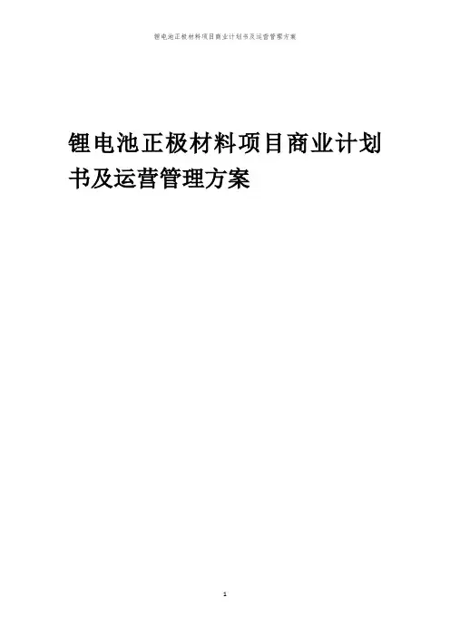 2024年锂电池正极材料项目商业计划书及运营管理方案