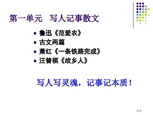 北京版高一语文必修一范爱农课件市公开课一等奖省赛课获奖PPT课件