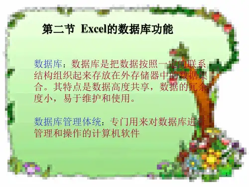 ②Excel的数据库功能(教学课件)