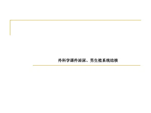 外科学泌尿、男生殖系统结核_2022年学习资料