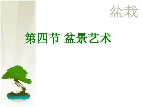 盆景艺术(观赏植物学中)精品PPT课件
