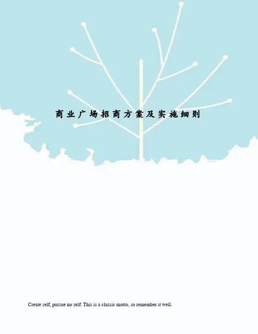 商业广场招商方案及实施细则