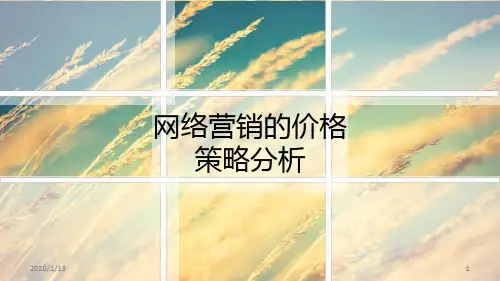 网络营销的价格策略分析基础PPT课件