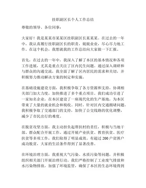 挂职副区长个人工作总结