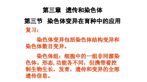 高中生物必修2《遗传与进化》第三章第三节 染色体变异在育种中的应用(共21张PPT)