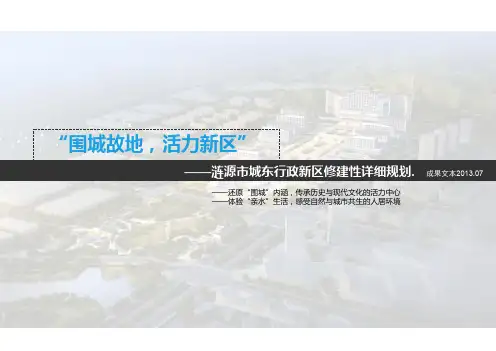 XX行政中心区修建性详细规划